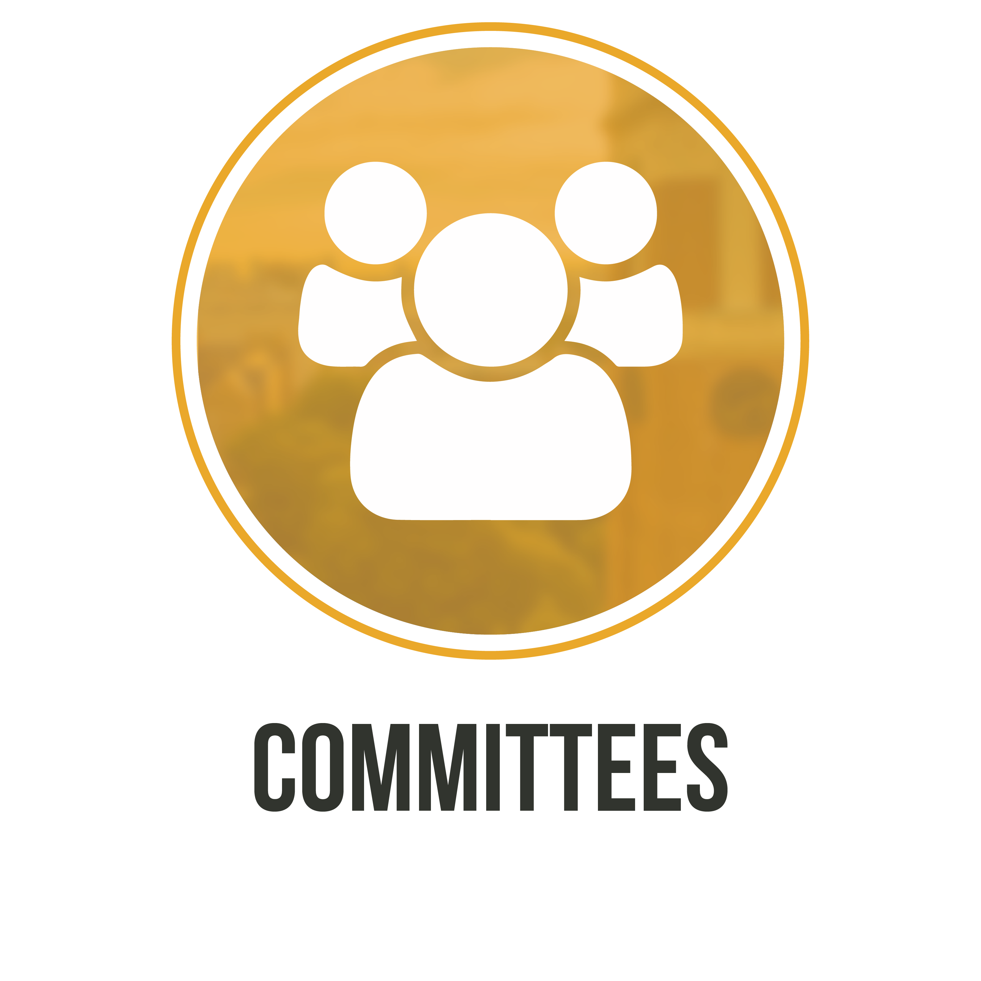 Committees | Vanderbilt Student Government