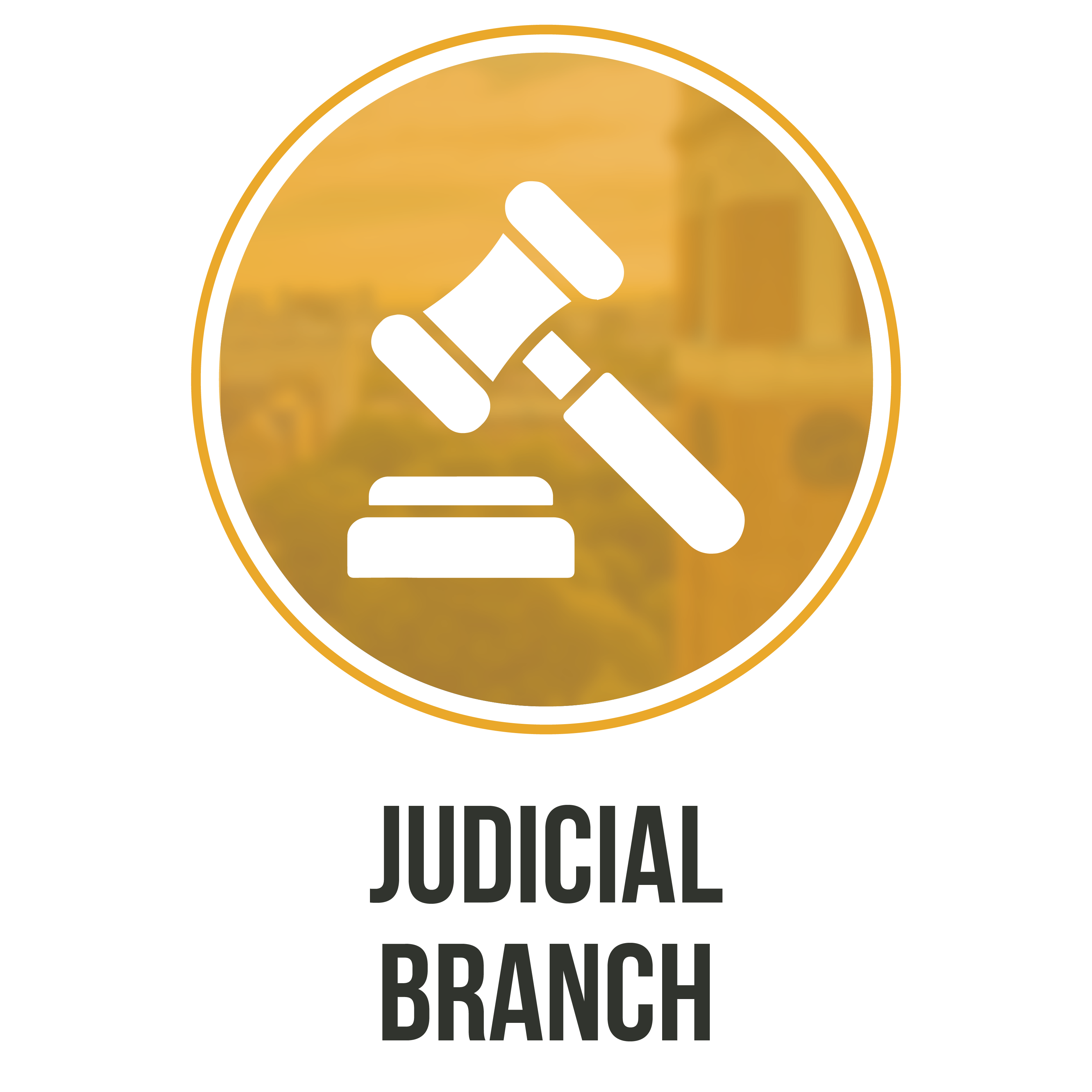 the-judicial-branch-infogram