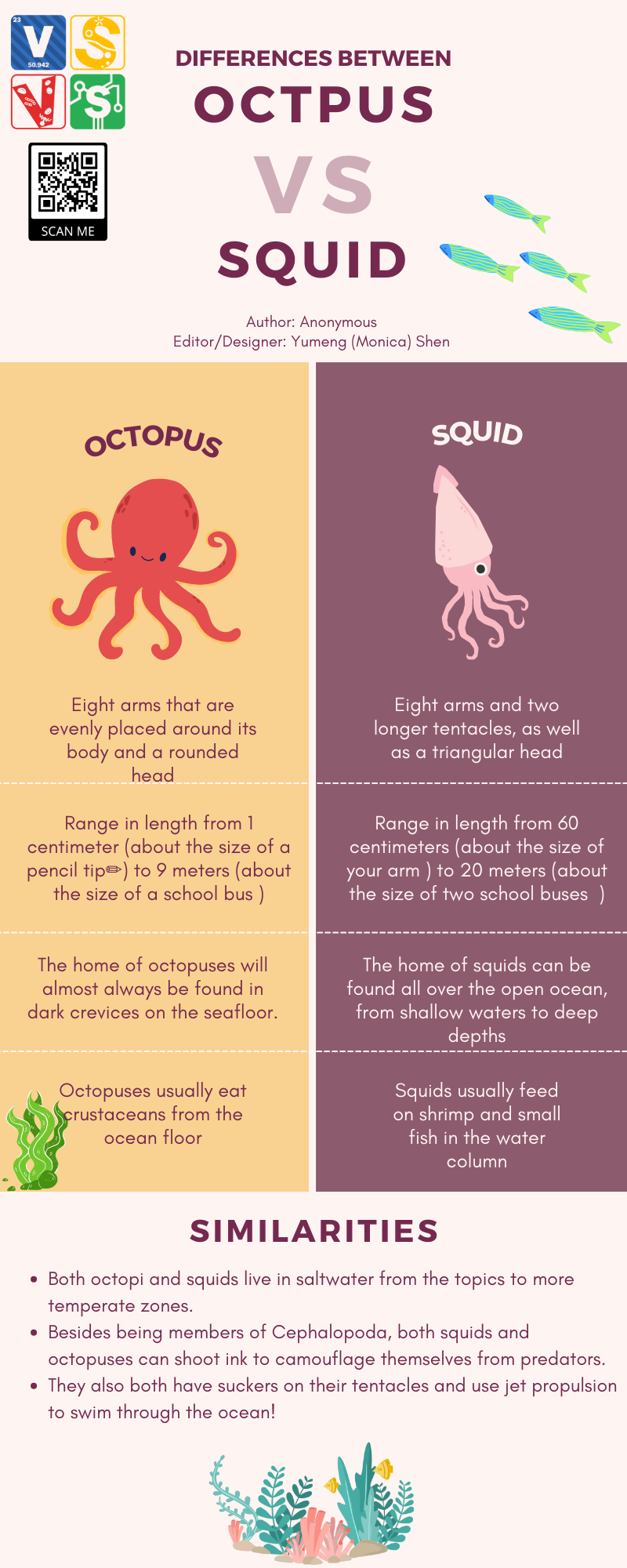 octopus and squid