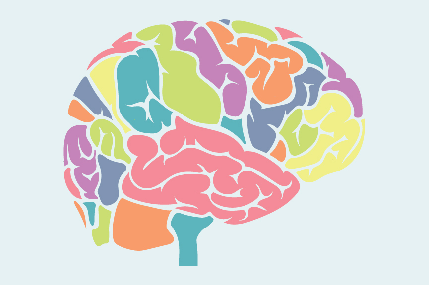 Did You Know These Facts About Your Brain?